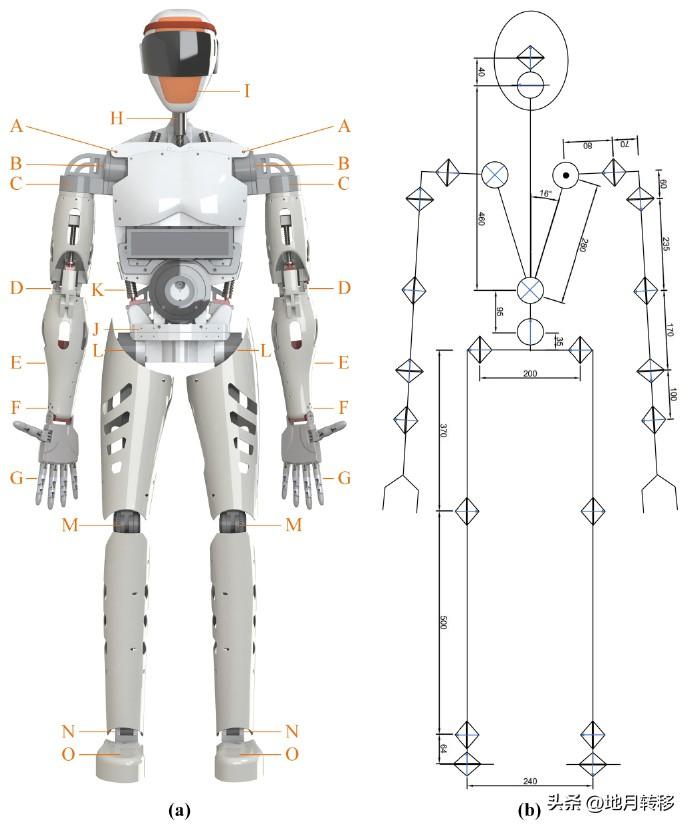 человекоподобный робот