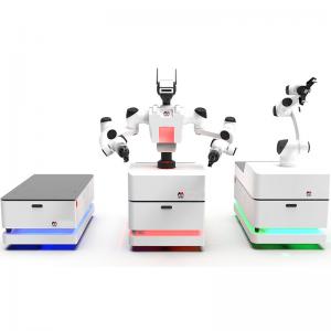 AMR solutions with dual-arm collaborative mobile robots