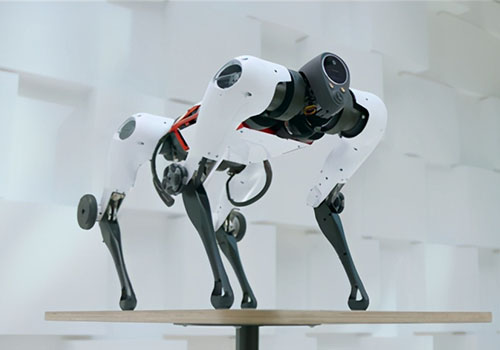 Tencent объявила о новом прогрессе своего робота-собаки Макса, который может паркуриться, преодолевать препятствия и «выводить другие вещи из одного экземпляра».