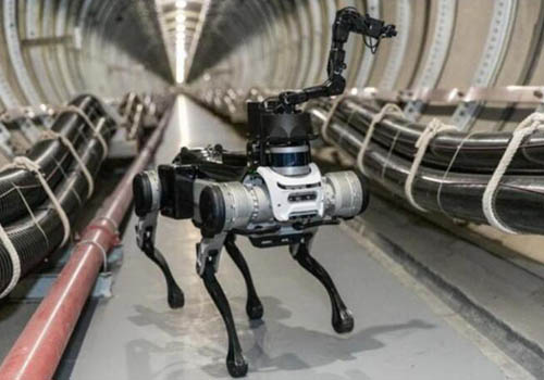 поймать «Черно-обратно» Роботизированная собака в живых, может ходить быстро и препятствовать