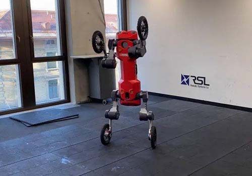 Четвероногий робот, разработанный Swiss-Mile, может стоять, катиться и доставлять предметы самостоятельно.