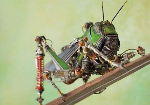 Американские военные тайно исследуют замечательное насекомое-робот с ручным управлением.