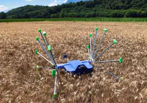 Робот SentiV может путешествовать по полям, перекатываясь, чтобы осмотреть урожай
