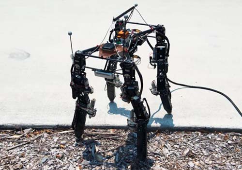 Эволюция четырехпоташенных роботов только для того, чтобы адаптироваться к сложной местности